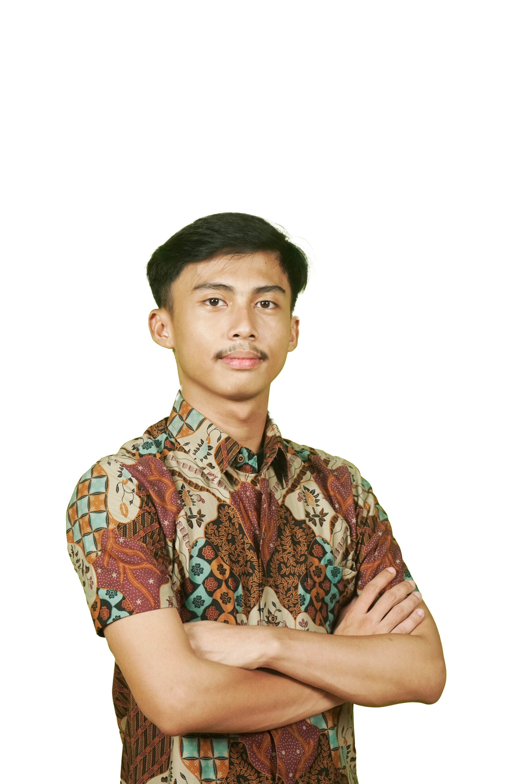 image hover